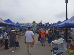 -南戴河海滨市场