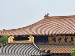 -西安大兴善寺