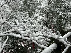 -安吉龙王山风景区