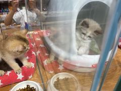 -狗道宠物(常熟印象城店)