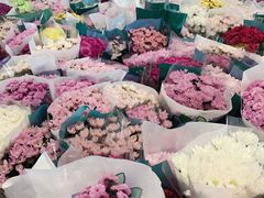 -三圣花乡旅游区