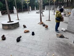 -四门塔风景区