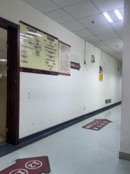 -复旦大学附属妇产科医院(杨浦院区)