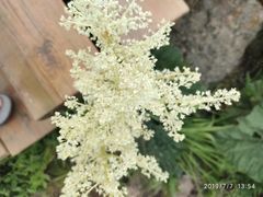 -白草畔自然风景区