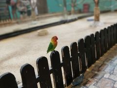 -上海大自然野生昆虫馆(东方明珠·爬宠昆虫探索中心)