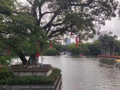 -荔湾湖公园