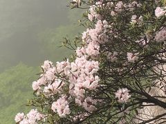 -萍乡武功山风景名胜区