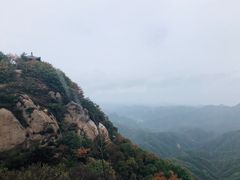 -六里坪国家森林公园