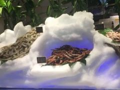 -川骄海鲜自助(河东店)