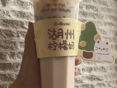 -猫的魔法密林(衣裳街店)