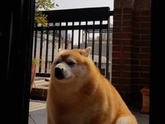 -万德诺富特酒店·自助餐厅(万德大厦店)