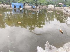 -森林公园(尖草坪区)