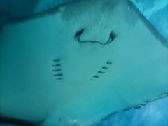 -苏州海洋馆