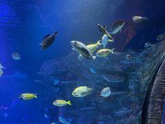 -沈阳海洋探索中心