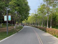 -江苏三台山国家森林公园