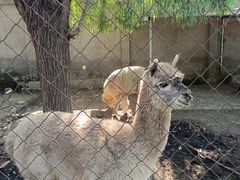 -意大利农场度假村