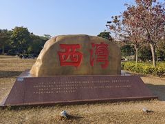 -宝安西湾红树林湿地公园