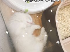 -狗道宠物(常熟印象城店)