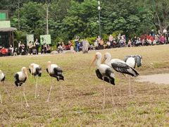 -广州长隆飞鸟乐园