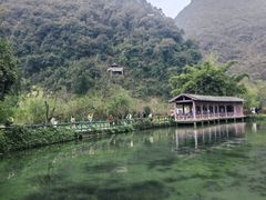 -靖西鹅泉风景区