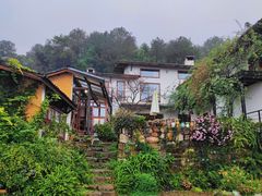 -缙云山景区