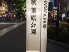 -秋叶原电器街
