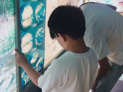 -上海昆虫博物馆