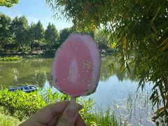-金银湖国家城市湿地公园