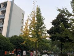 -江西科技学院