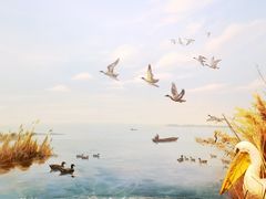 -同里国家湿地公园