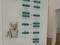 -瑞派康怡24h宠物医院·犬猫医疗中心·微创绝育(瑞景分院)