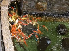 -汇景花园酒家(基立下道店)
