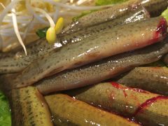 泥鳅-香佰里鲜货火锅(佳乐金街店)