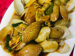 -蛇口康乐快餐鱼仔档(翠苑小区店)