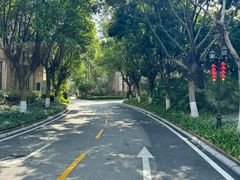 -万科·兰乔圣菲