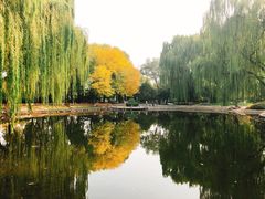 -玲珑塔公园