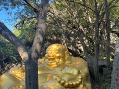 -紫金山山顶公园
