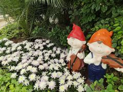 -石家庄市植物园