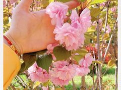 -上海国际旅行卫生保健中心(浦东分中心)