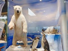 -国家自然博物馆