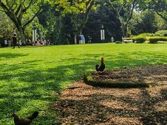 -植物园哈利亚餐厅