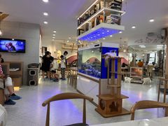 -喵园·猫主题咖啡厅·撸猫·猫咖(国贸店)