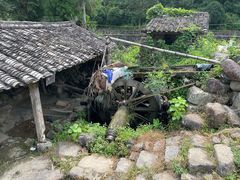 -MOJ coffee(瓯海泽雅水碓坑店)