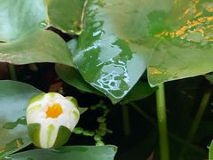 -合一茶坊(体育教育公寓B座店)