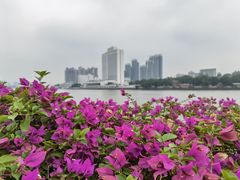 -洲头咀公园