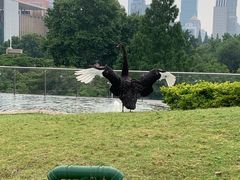 -行者书屋大堂吧 ·下午茶(南京圣和府邸酒店)