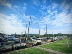 -苏州太湖国家湿地公园