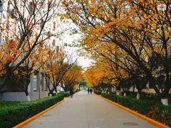 -西安交通大学(雁塔校区)