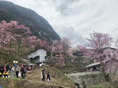 -九皇山景区