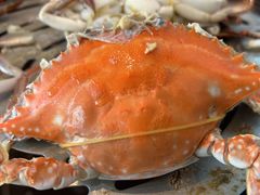 -半岛听涛蒸汽海鲜自助(K11店)